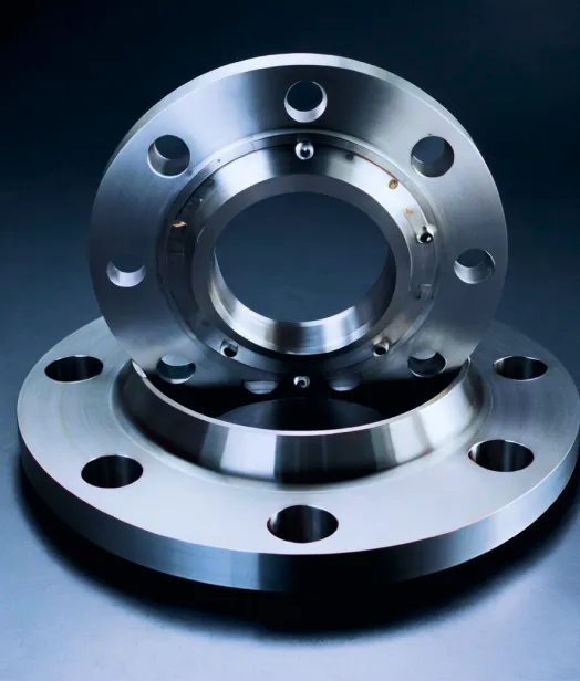 Flanges Stainless